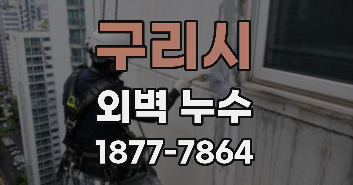 구리시 외벽 누수