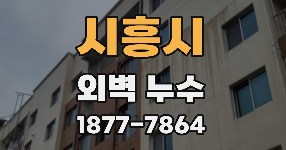 시흥시 외벽 누수