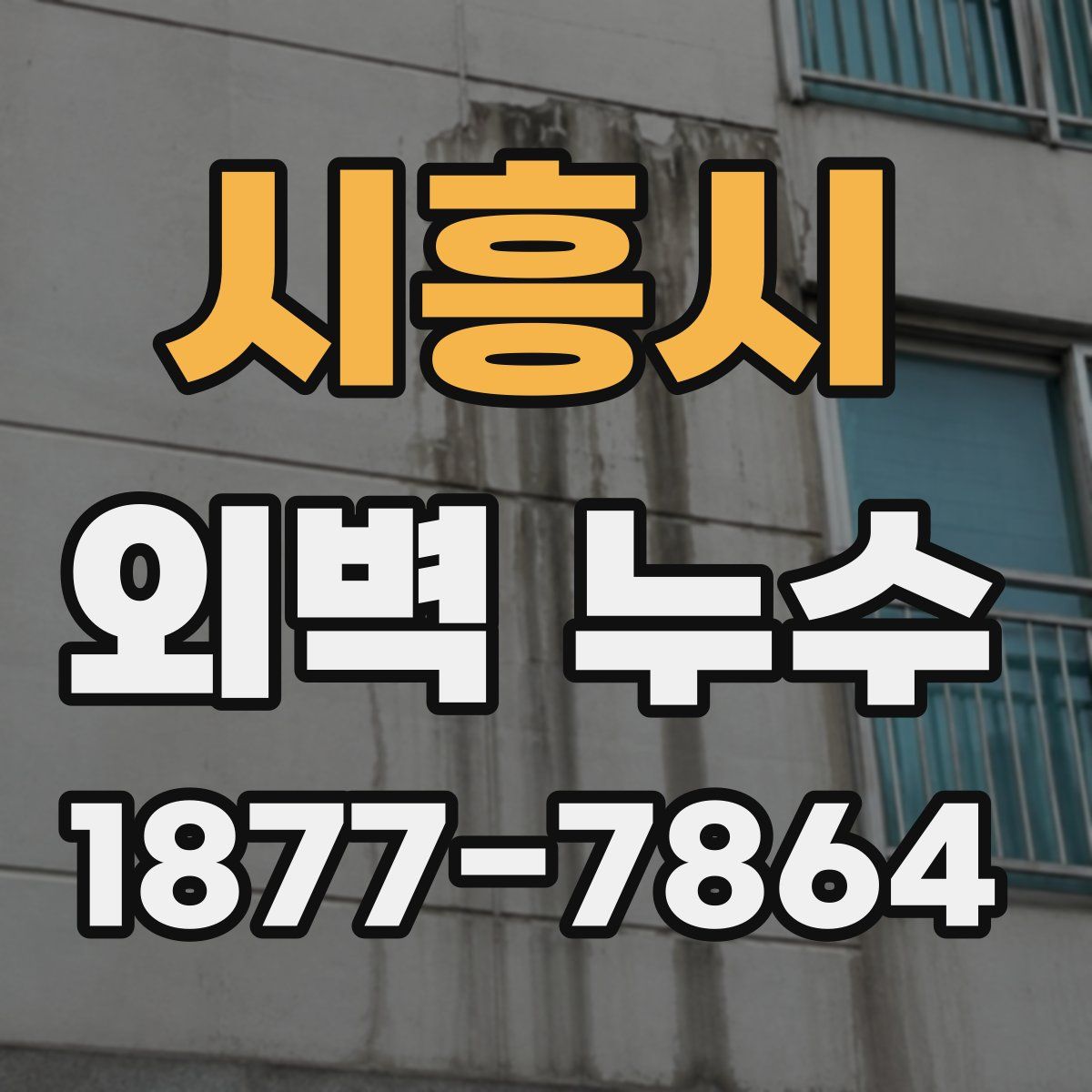 시흥시 외벽 누수