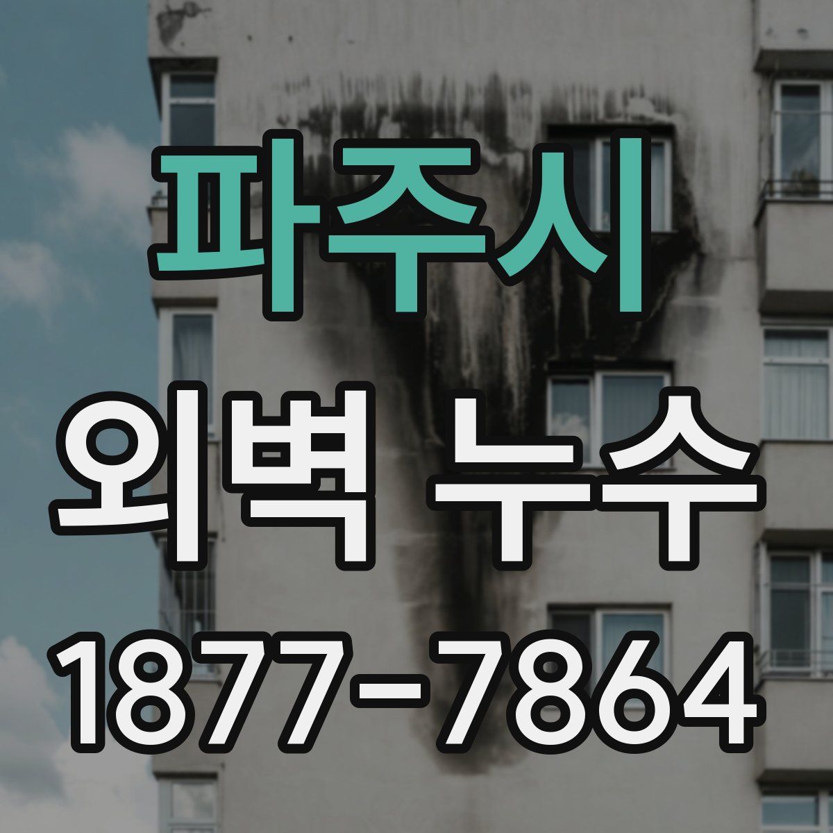 파주시 외벽 누수