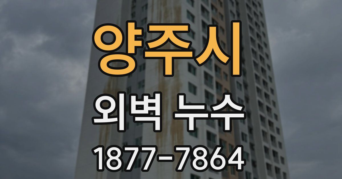 양주시 외벽 누수
