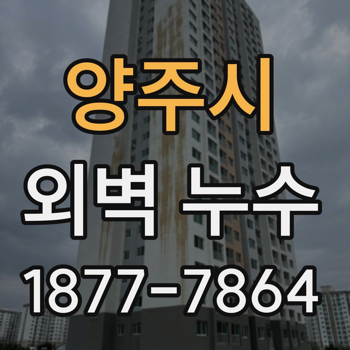 양주시 외벽 누수