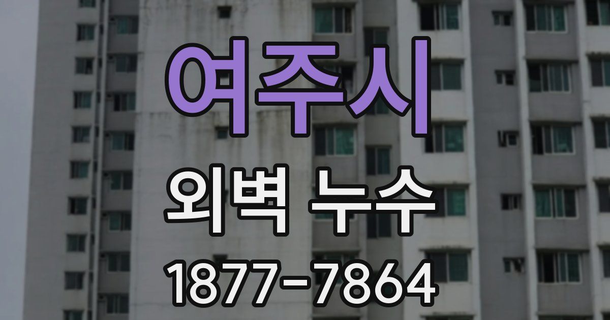 여주시 외벽 누수