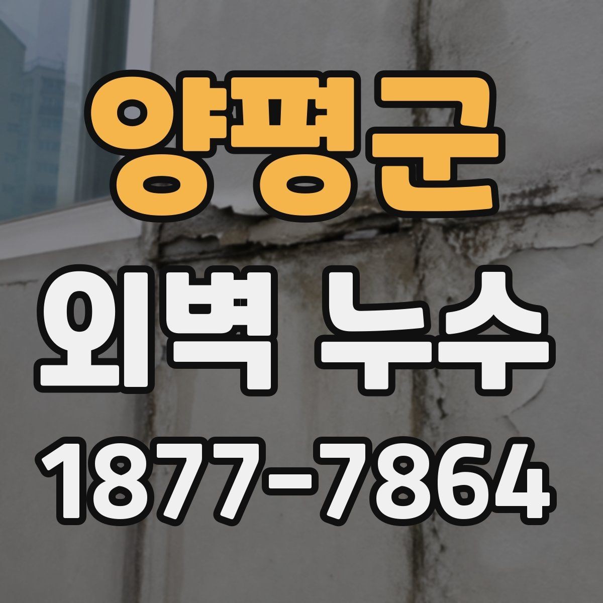 양평군 외벽 누수 확인 후 보험과 보상 살펴보기