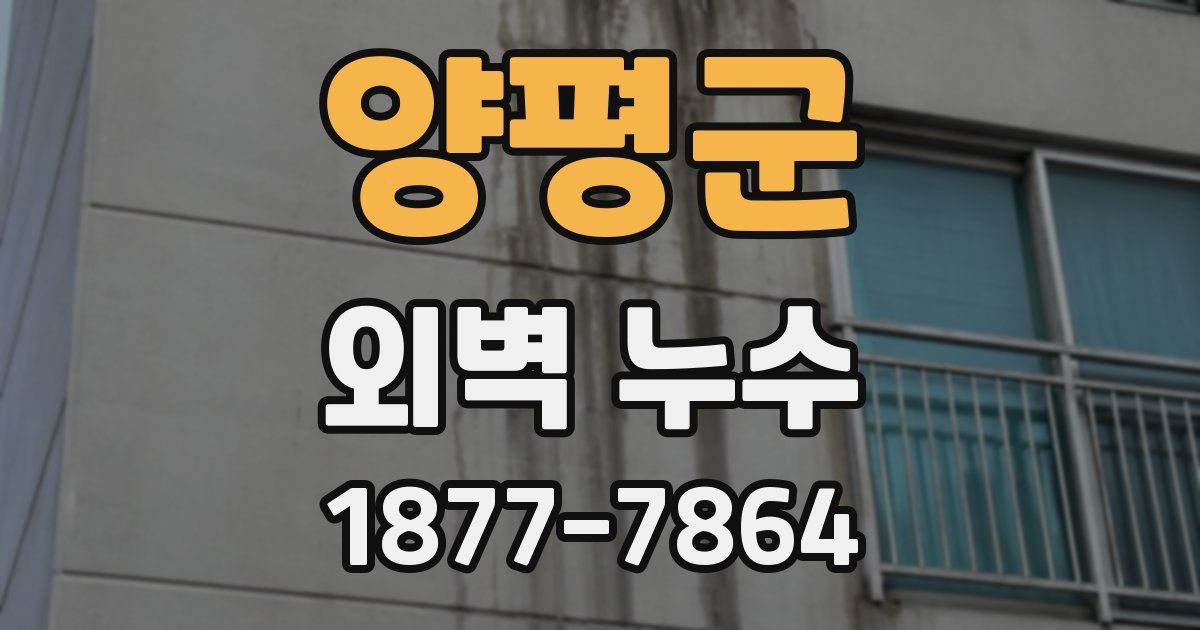 양평군 외벽 누수