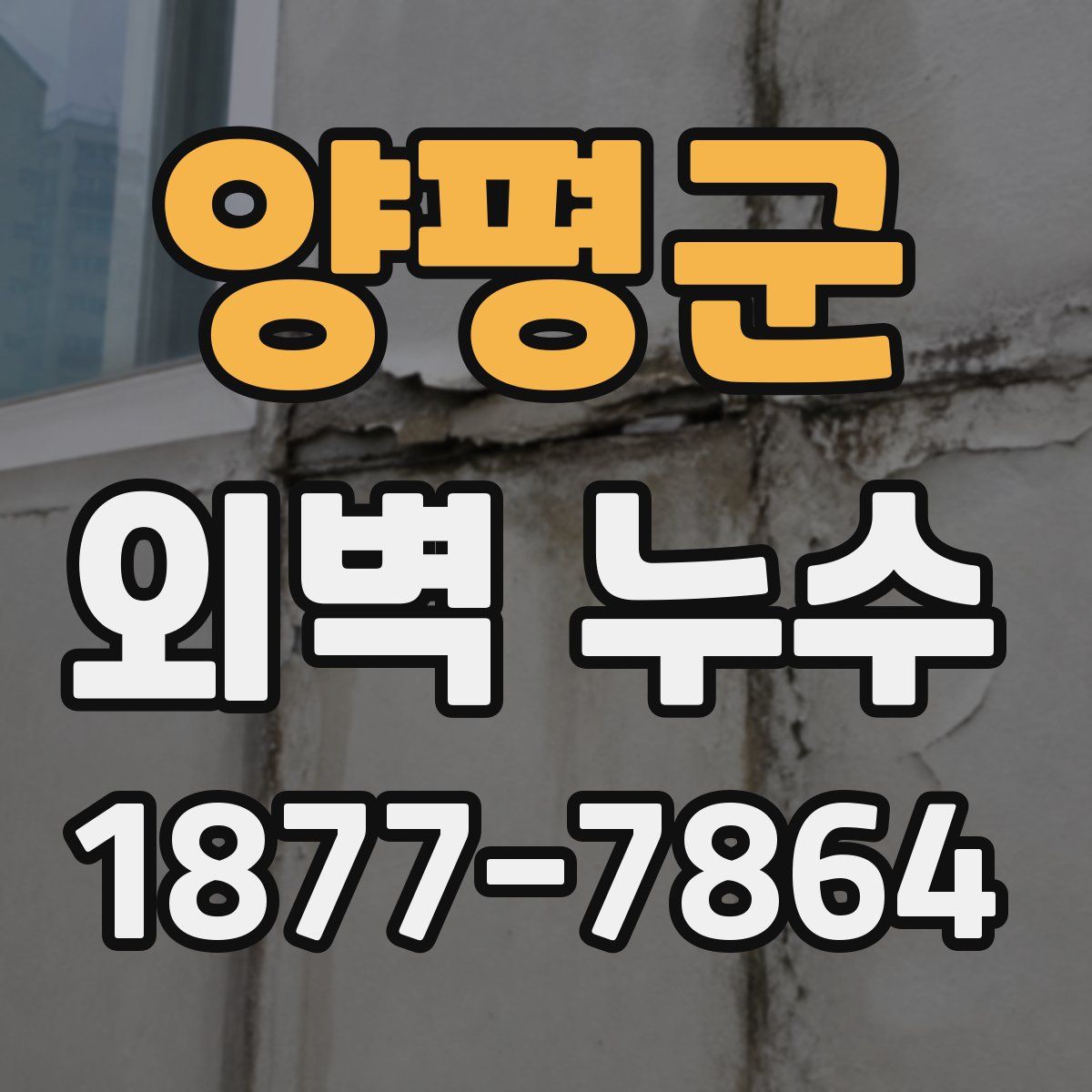 양평군 외벽 누수