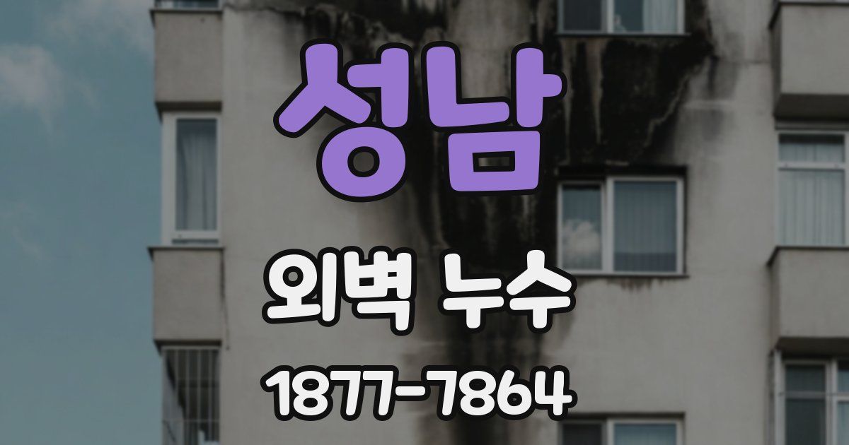성남 외벽 누수