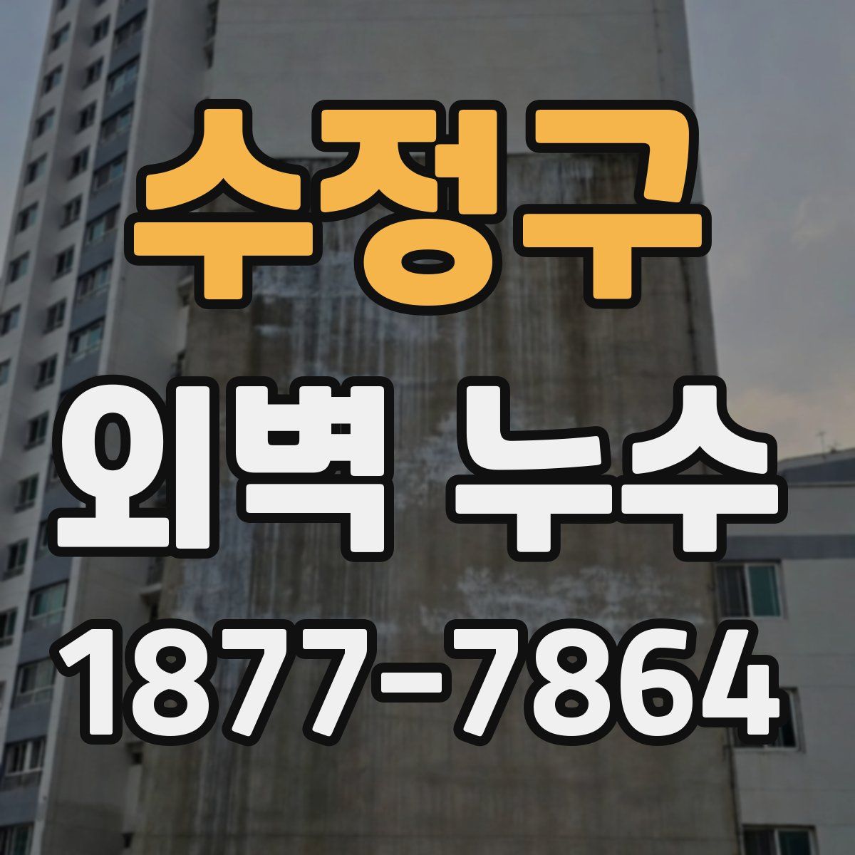수정구 외벽 누수