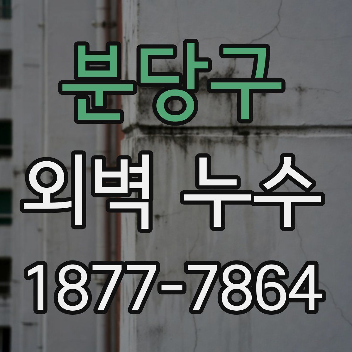 분당구 외벽 누수