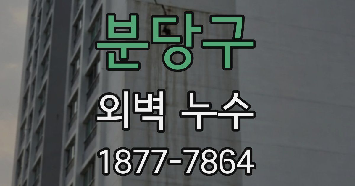 분당구 외벽 누수