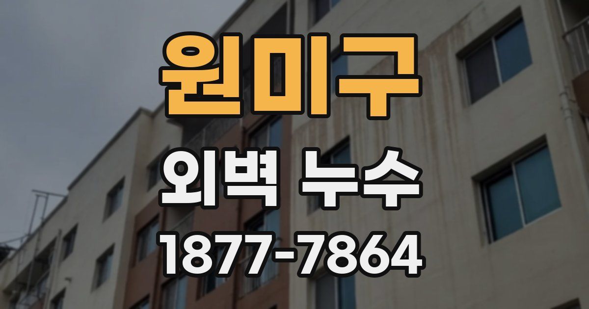 원미구 외벽 누수