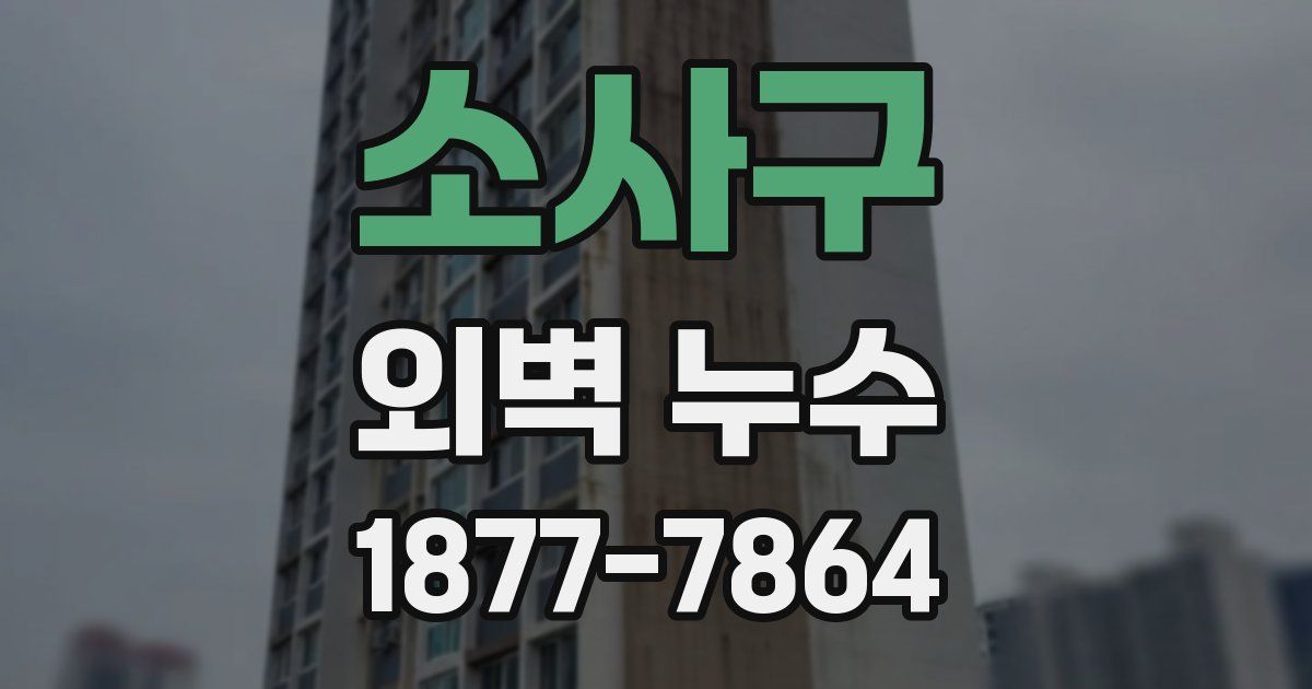 소사구 외벽 누수