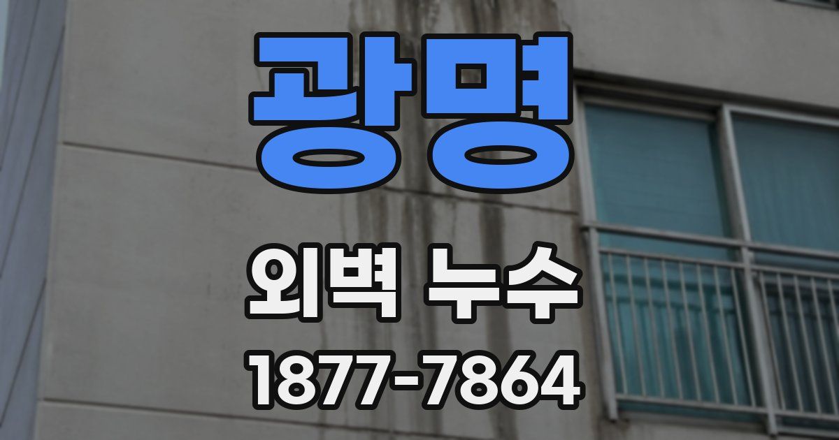 광명 외벽 누수