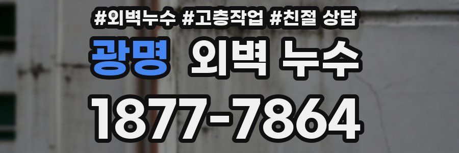 광명 외벽 누수