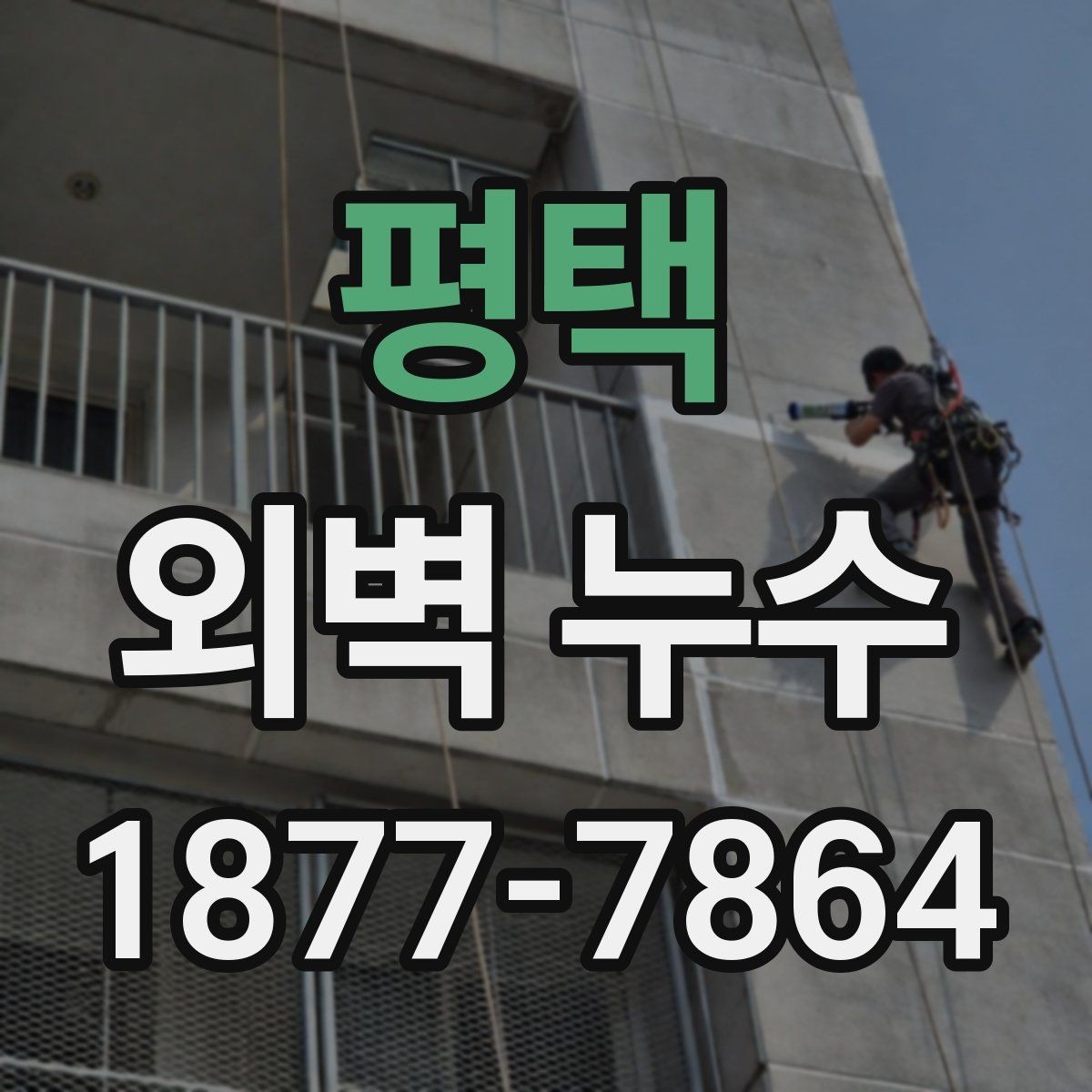 평택 외벽 누수 원인 진단을 위한 현장 확인