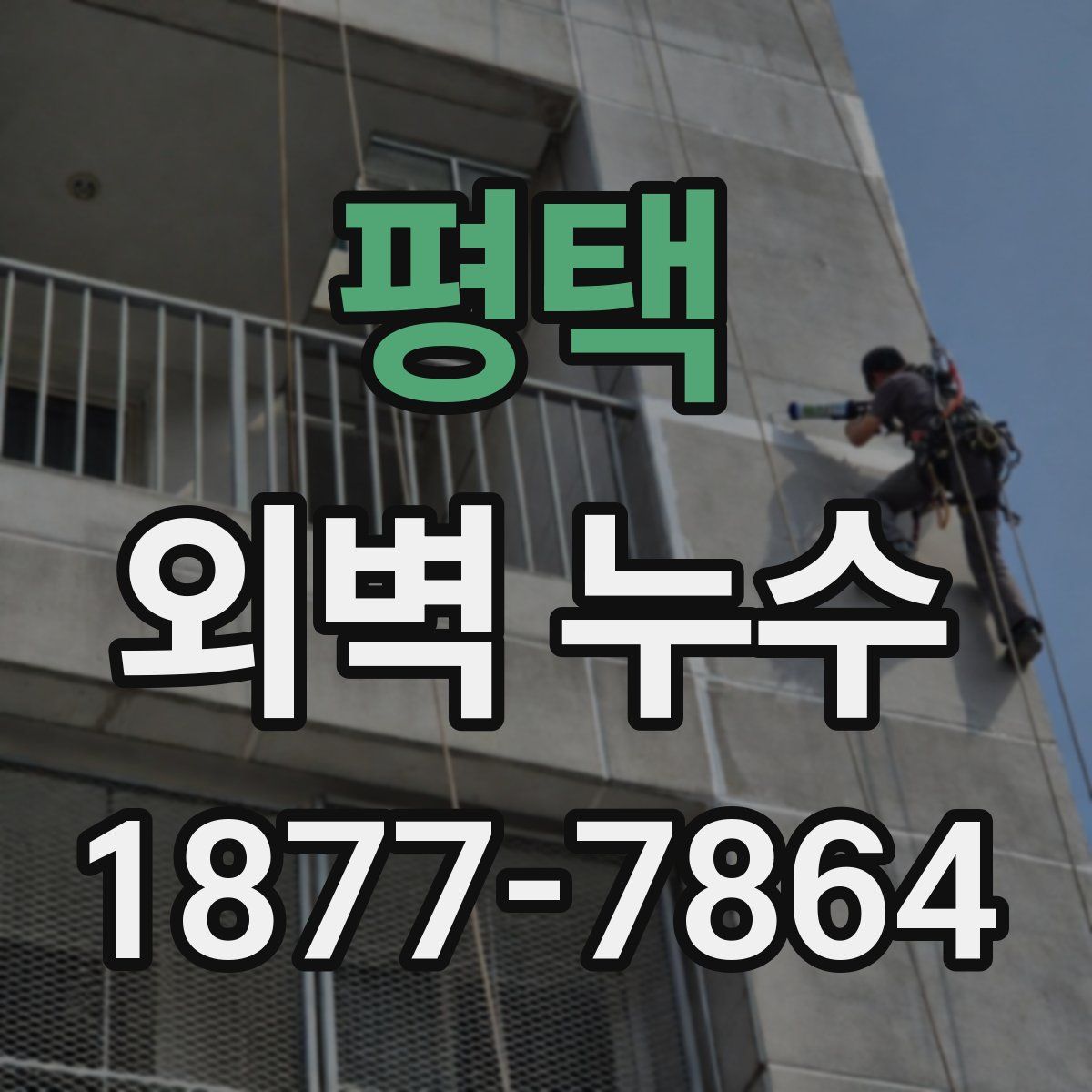 평택 외벽 누수