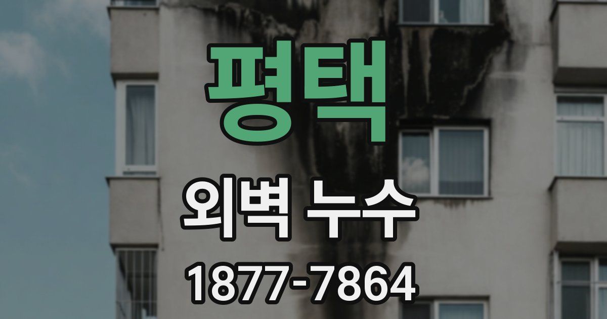 평택 외벽 누수