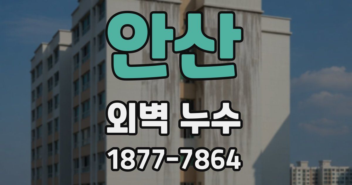 안산 외벽 누수