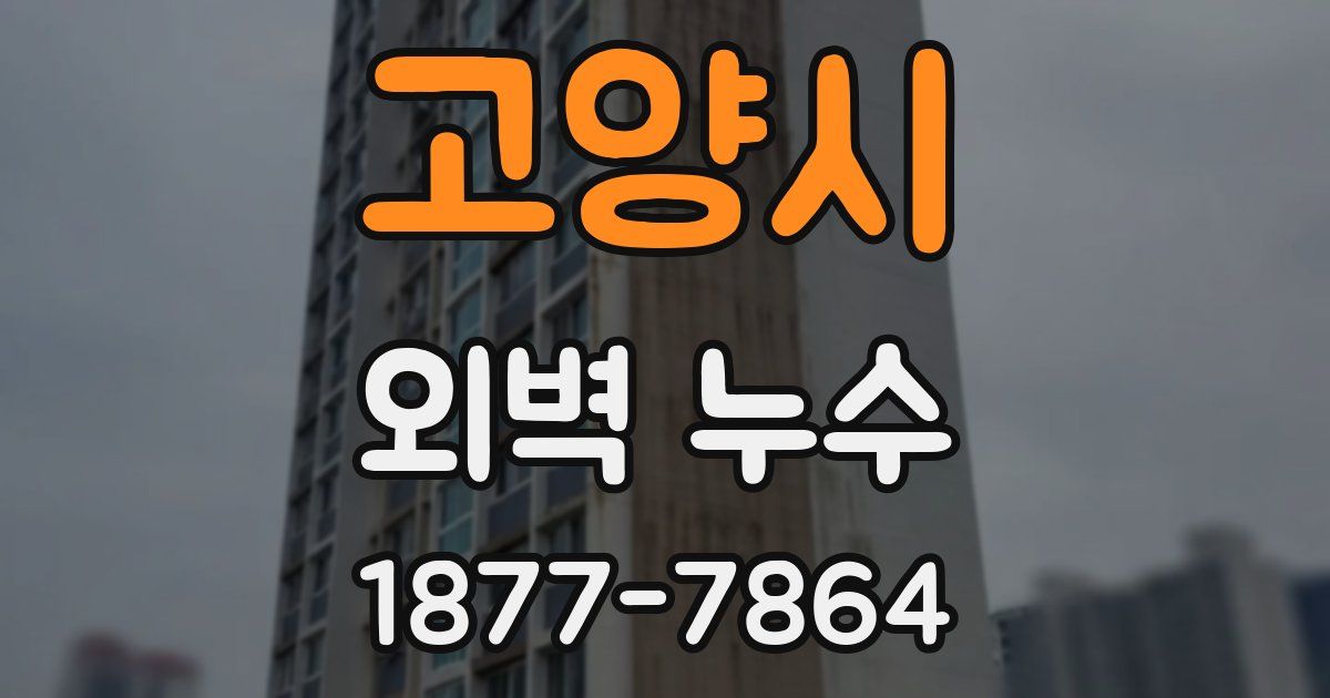 고양시 외벽 누수