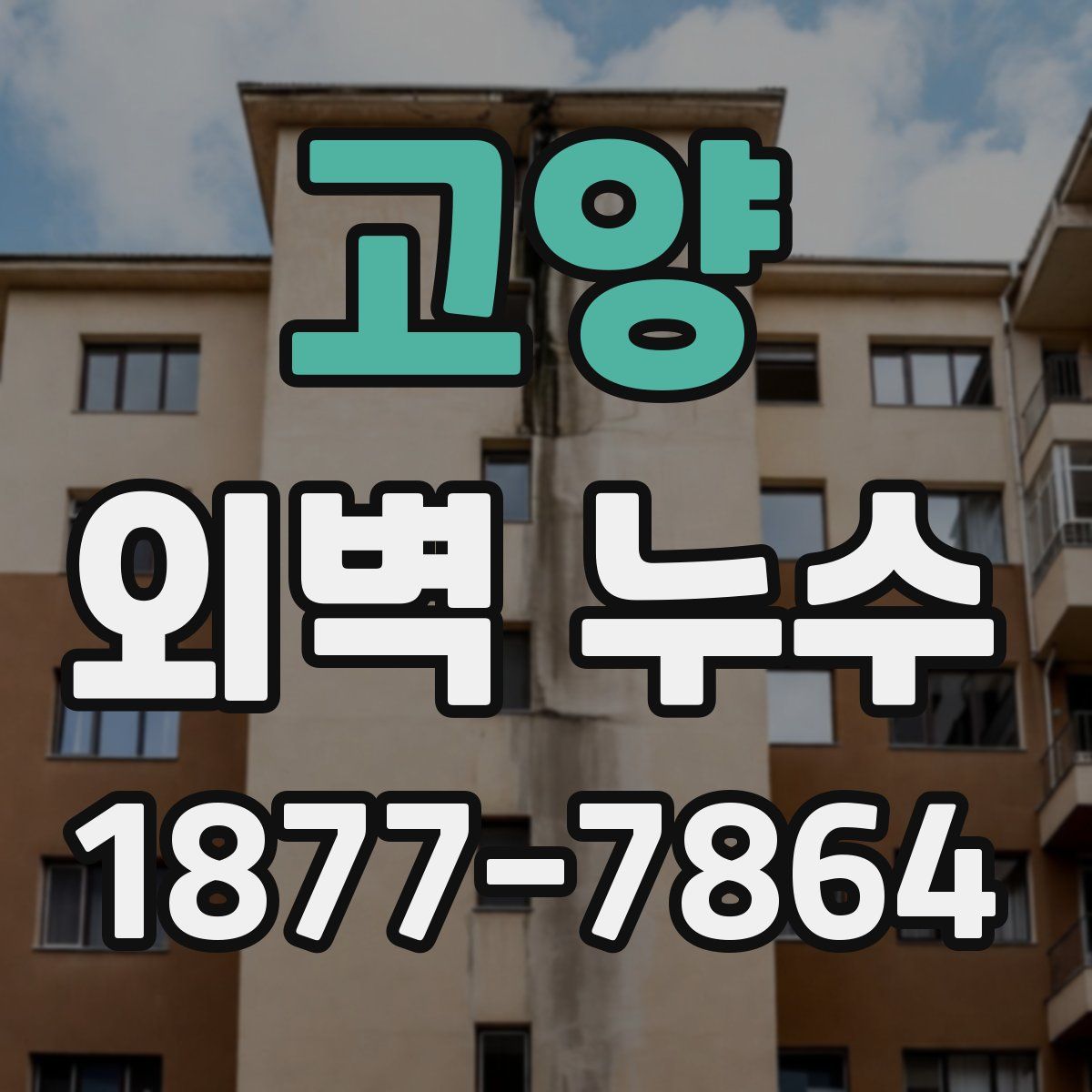 고양 외벽 누수
