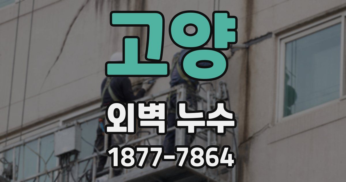 고양 외벽 누수
