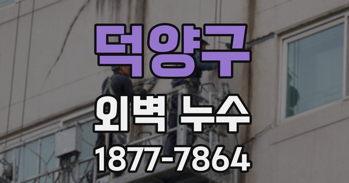 덕양구 외벽 누수