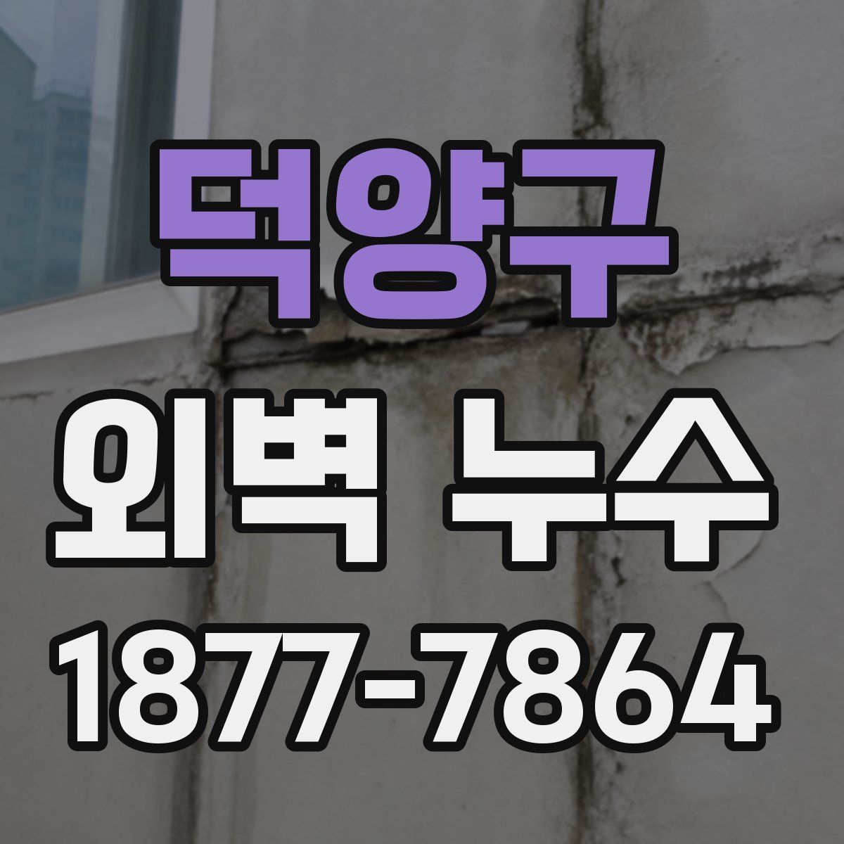 덕양구 외벽 누수