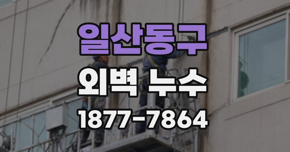 일산동구 외벽 누수