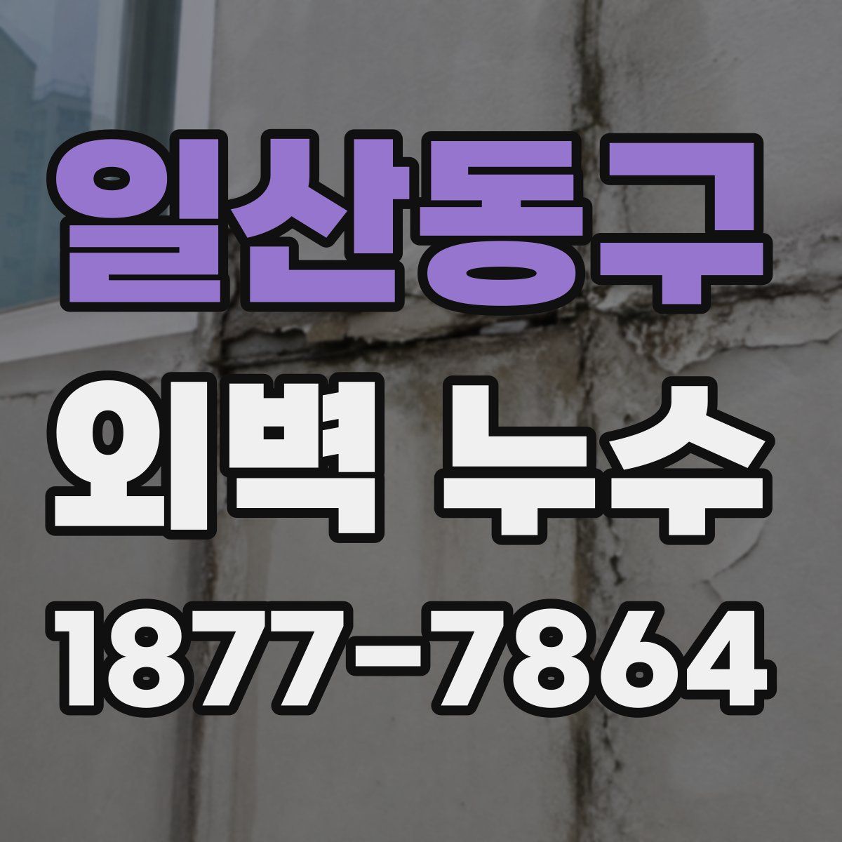일산동구 외벽 누수