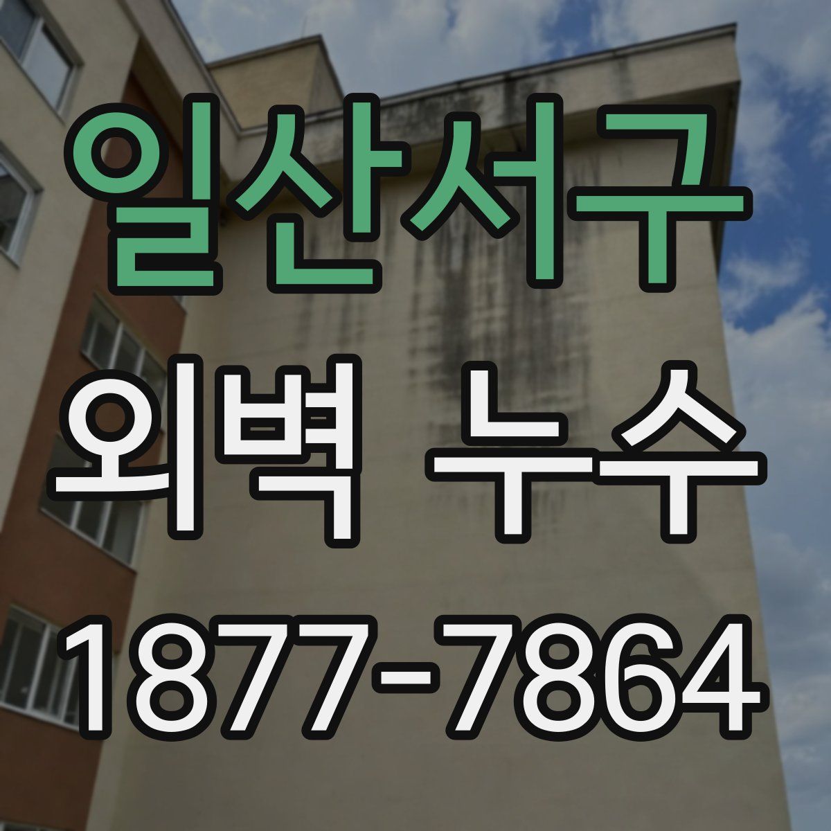 일산서구 외벽 누수