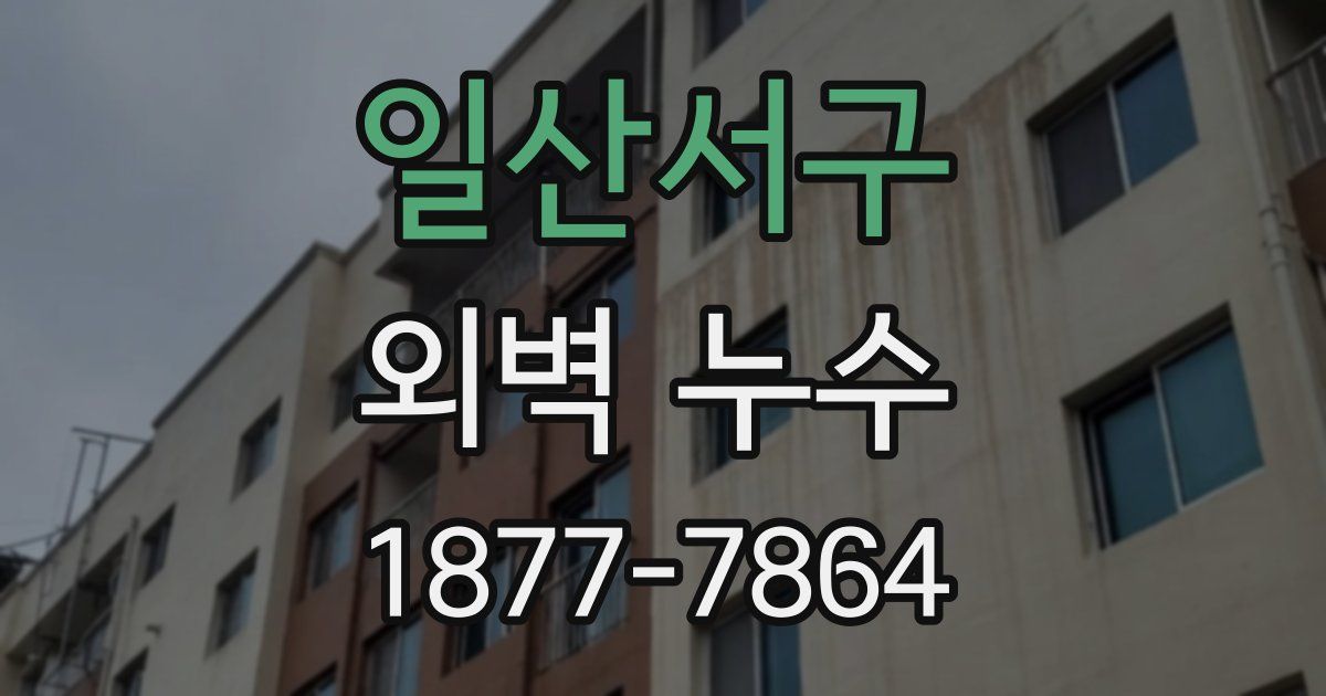 일산서구 외벽 누수