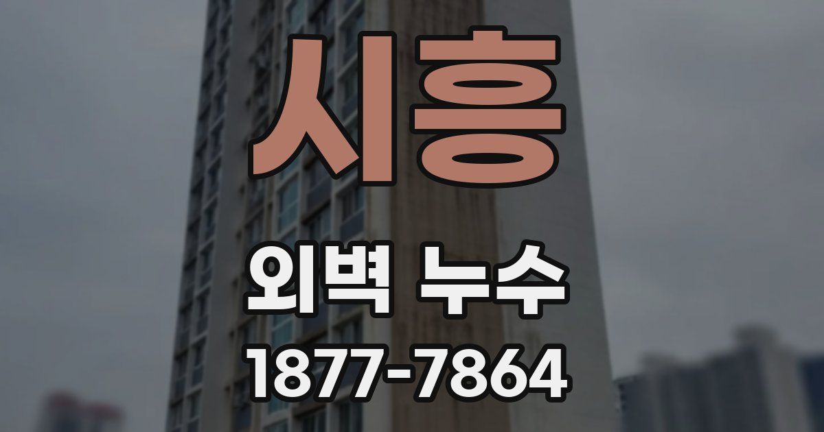 시흥 외벽 누수