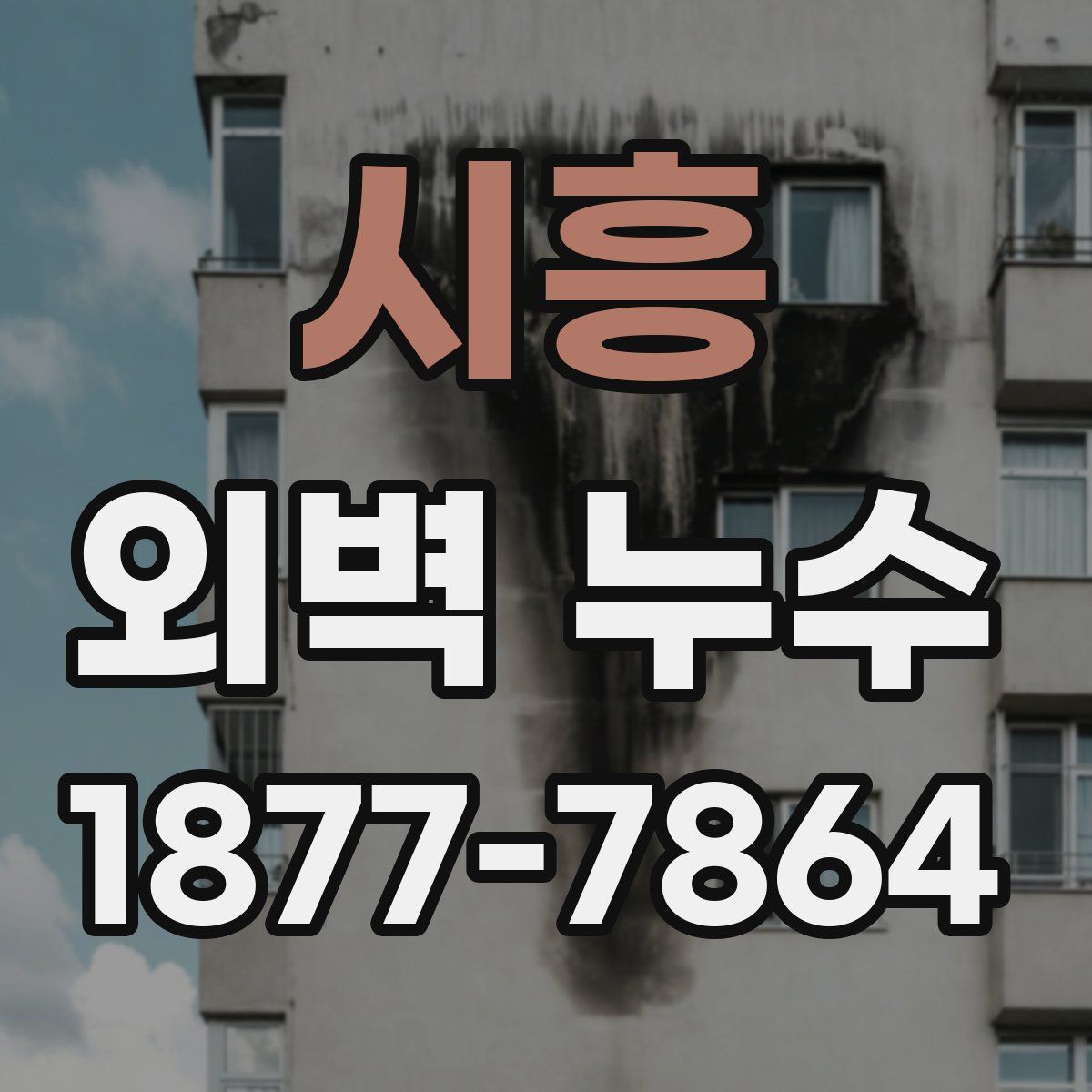 시흥 외벽 누수