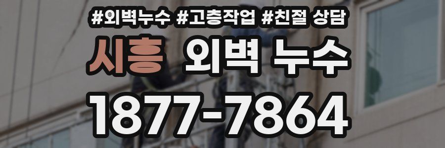 시흥 외벽 누수