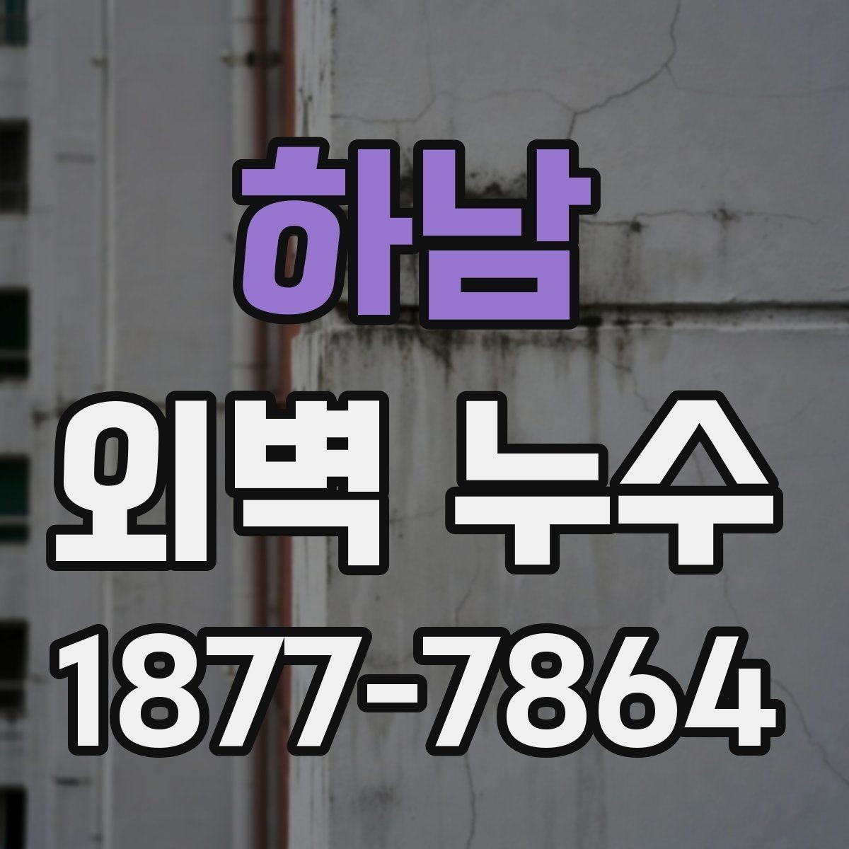하남 외벽 누수 해결을 위한 현장 조사 내용