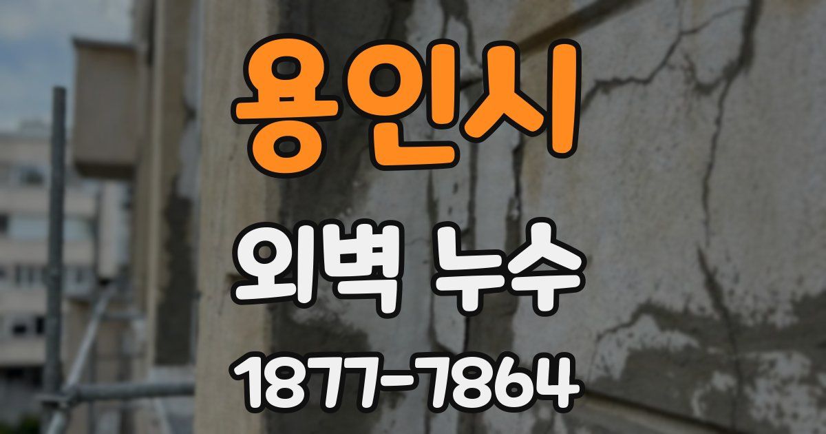 용인시 외벽 누수