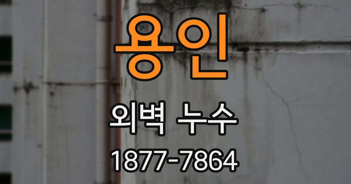 용인 외벽 누수