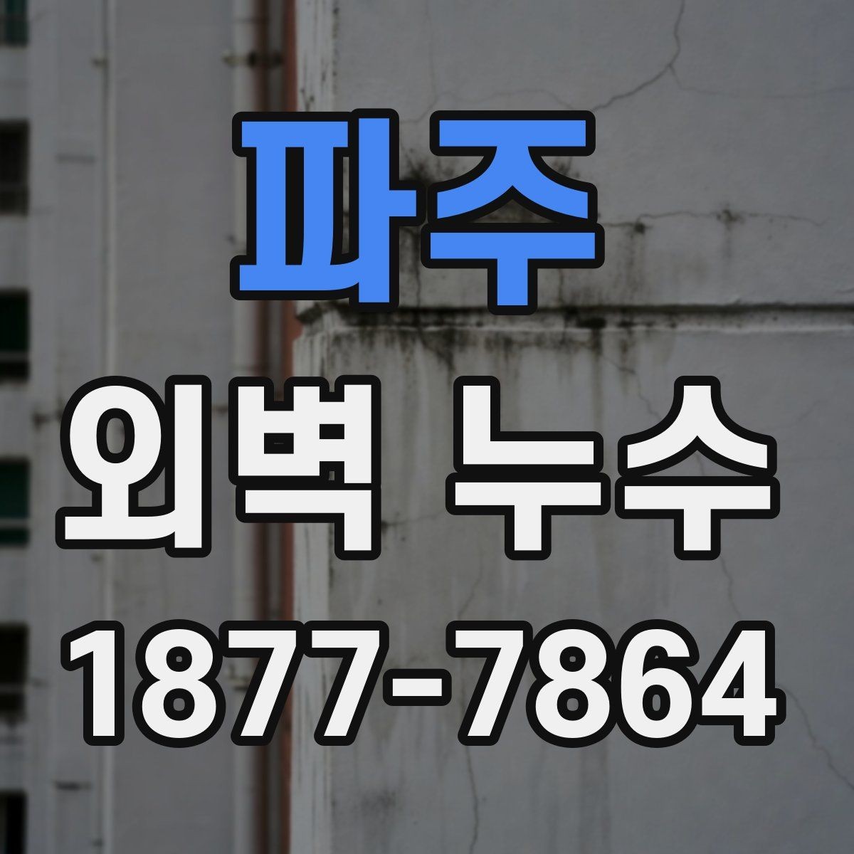 파주 외벽 누수 진단 시 자주 확인하는 항목