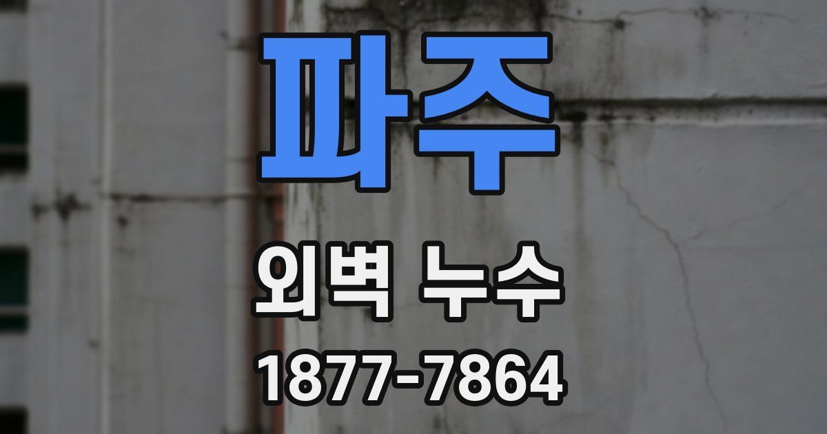 파주 외벽 누수