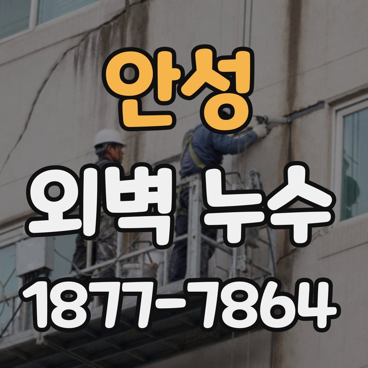 안성 외벽 누수