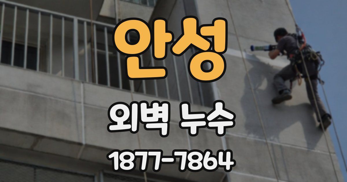 안성 외벽 누수
