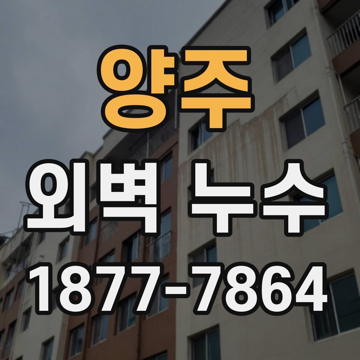 양주 외벽 누수 원인 진단을 위한 현장 확인