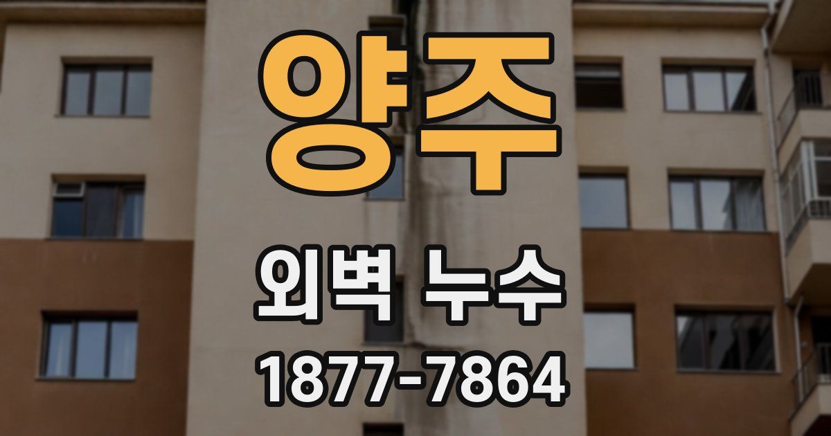 양주 외벽 누수