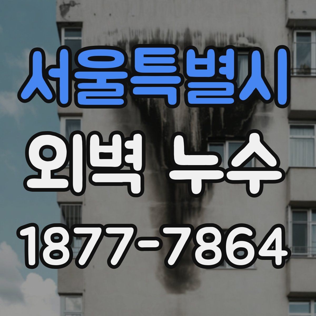 서울특별시 외벽 누수 사진으로 증상 기록하는 요령