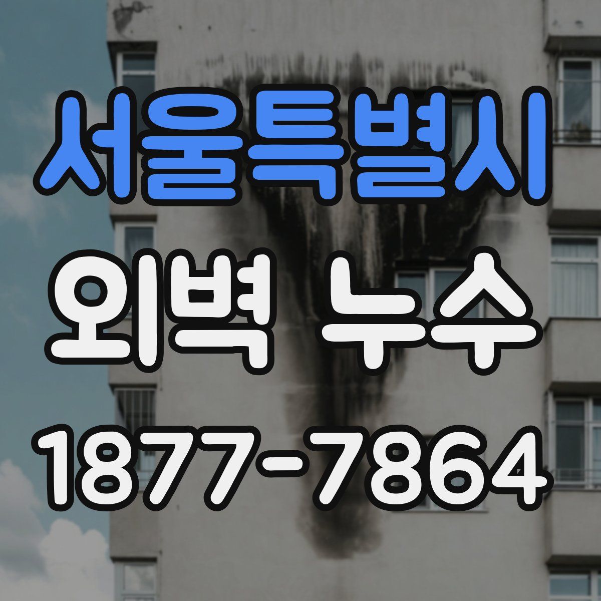서울특별시 외벽 누수