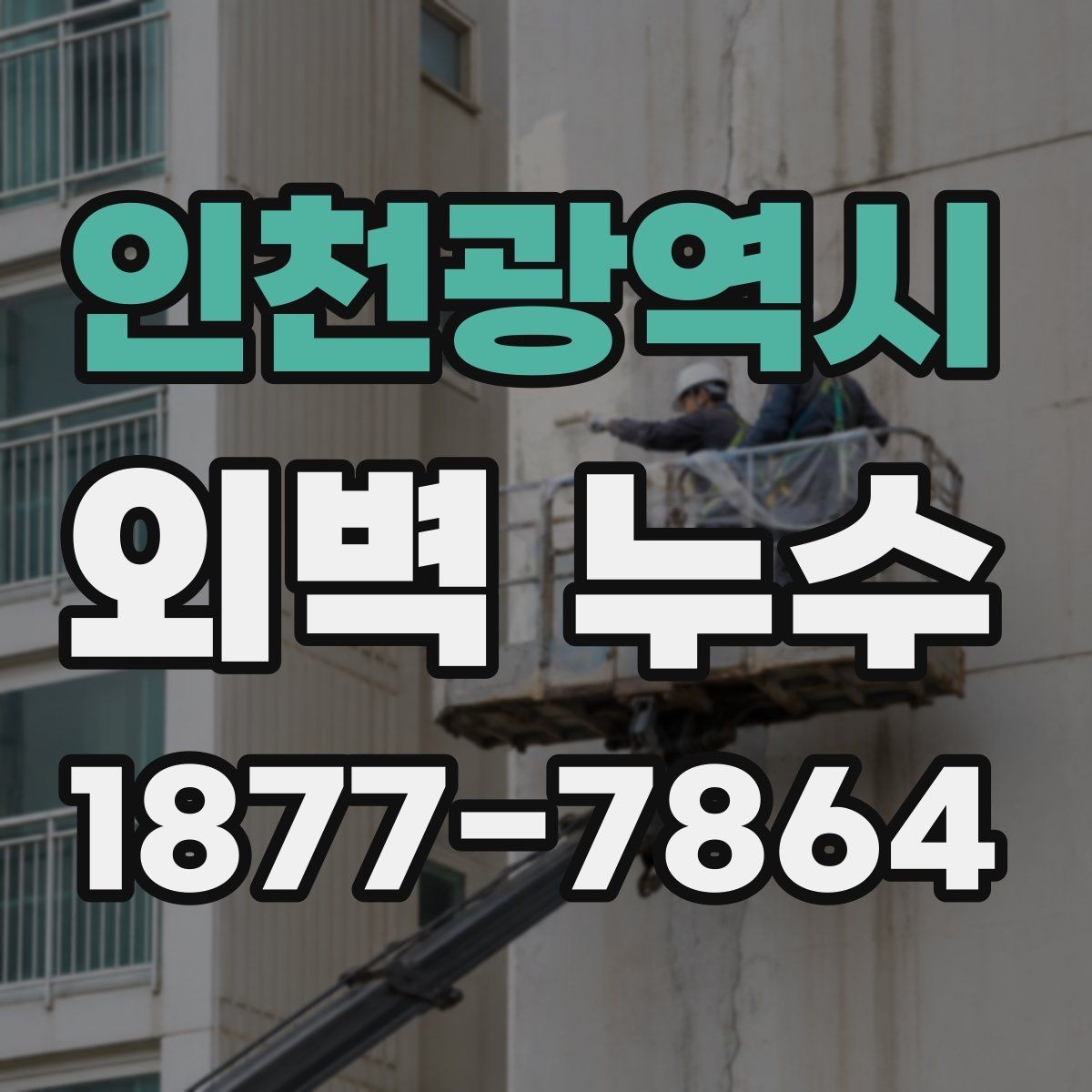 인천광역시 외벽 누수 점검 시 함께 보면 좋은 주변 요소