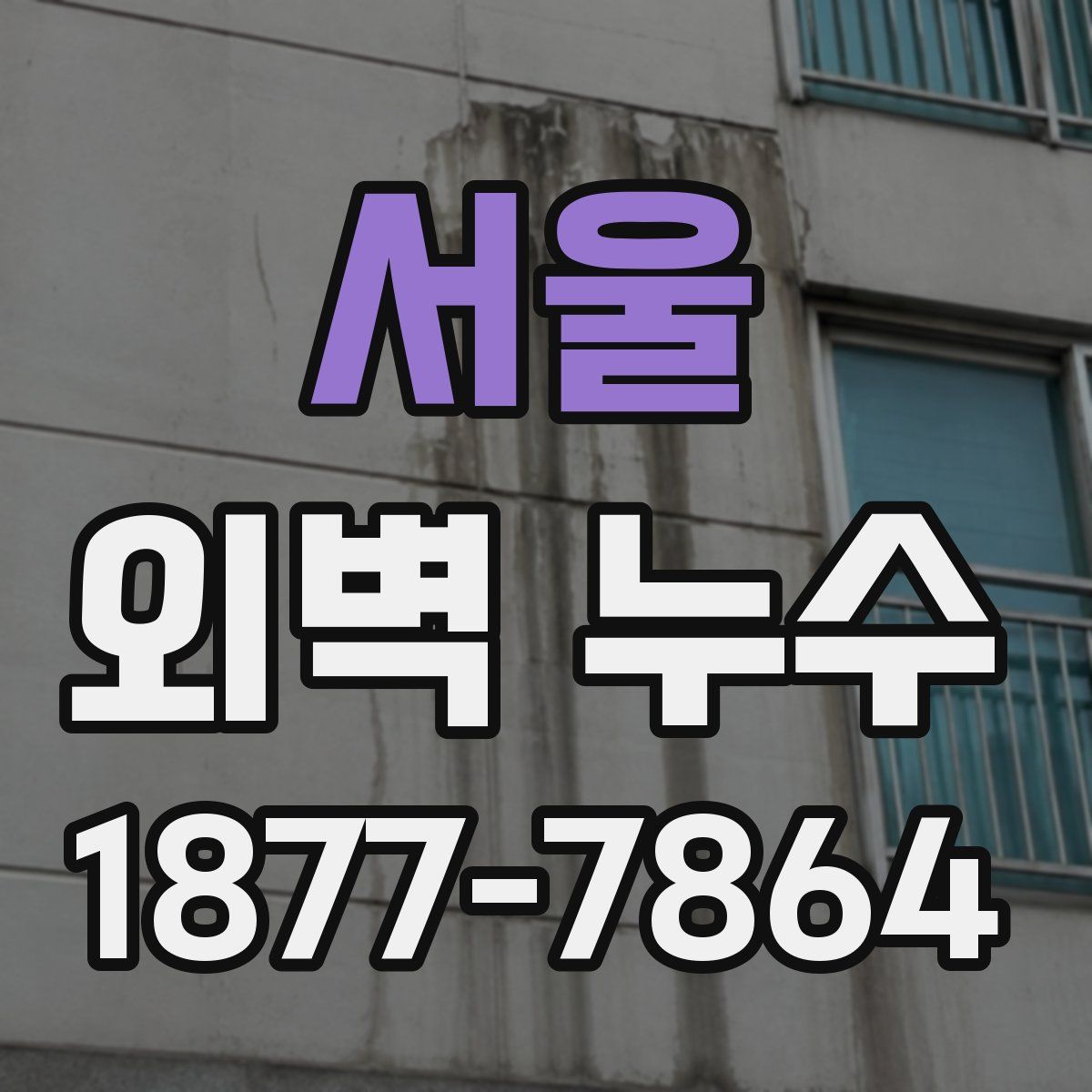 서울 외벽 누수