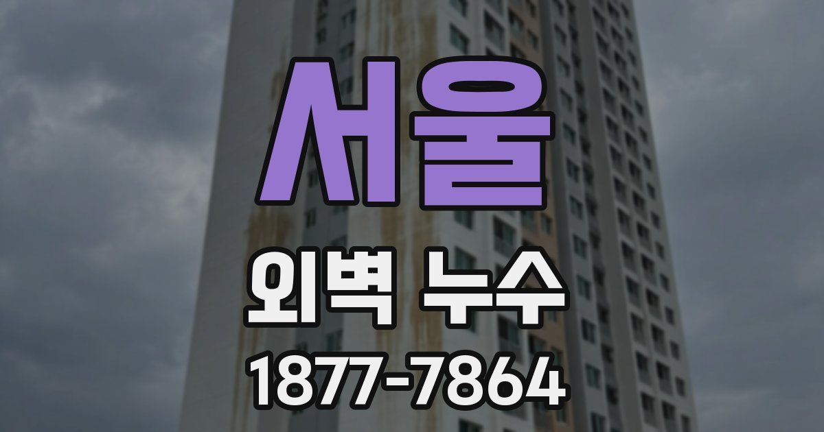 서울 외벽 누수
