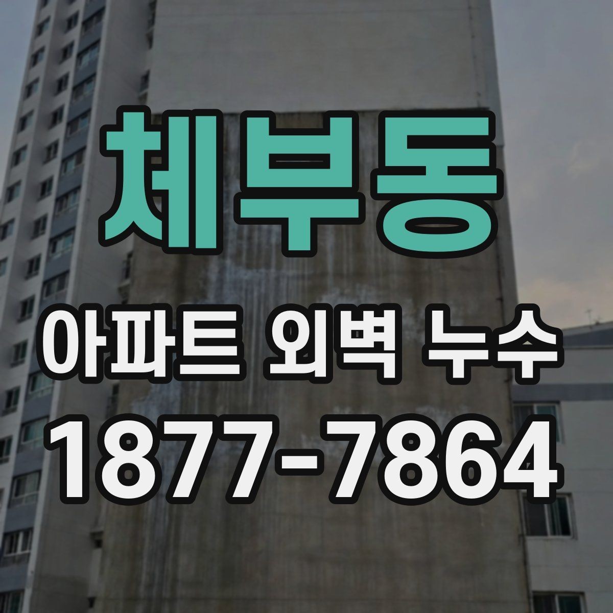체부동 아파트 외벽 누수 보수 전 확인할 사항