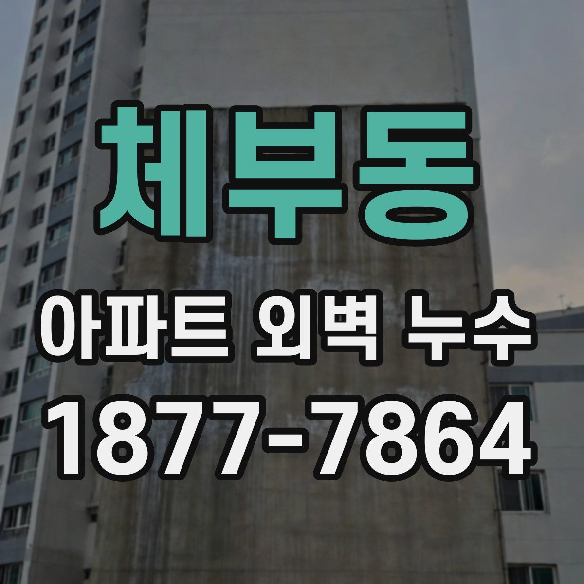 체부동 아파트 외벽 누수
